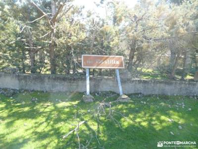 un bosque Jurásico - Sabinar y Cañón del río Caslilla; actividades para jovenes en madrid senderismo